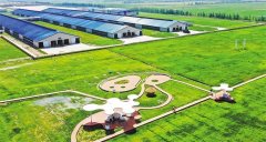 “优良乳工程启动 